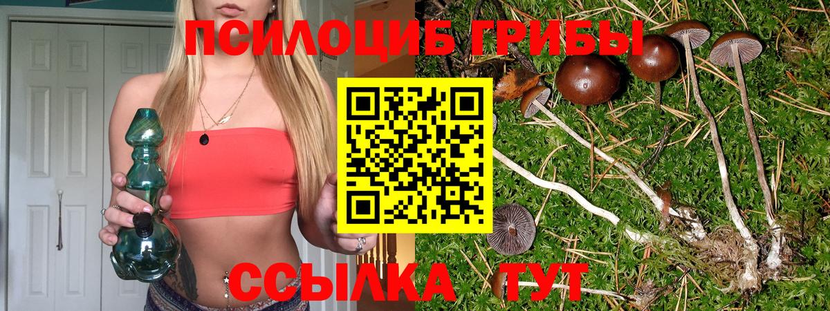 Галлюциногенные грибы прущие грибы  Псилоцибиновые грибы GOLDEN TEACHER  Холмск  купить   Вход с VPN 