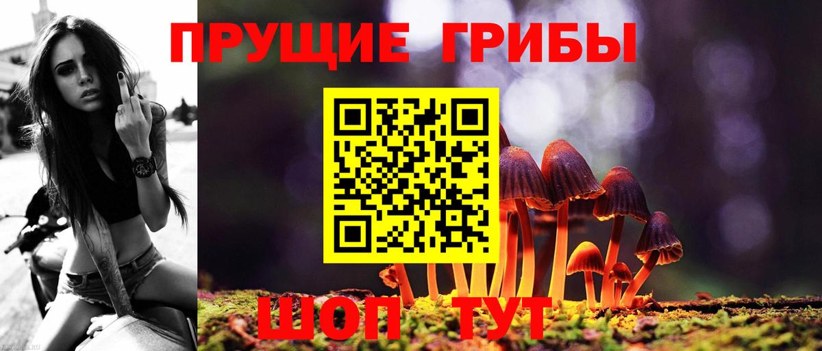 Псилоцибиновые грибы прущие грибы Холмск
